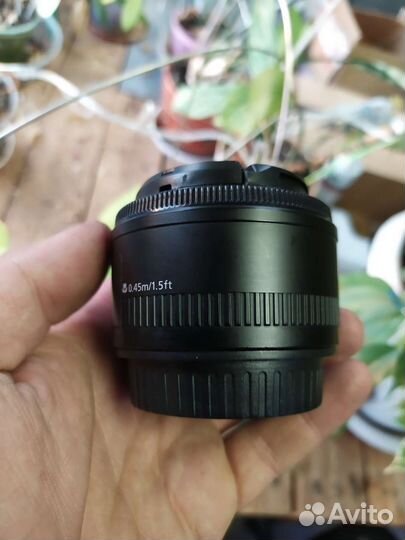 Объектив canon 50mm 1 8 ii, отличный портретник