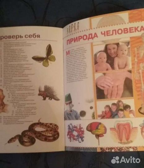 Книга Энциклопедия школьника