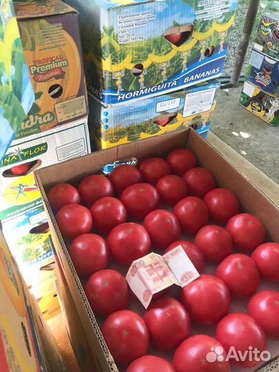 Помидоры розовые