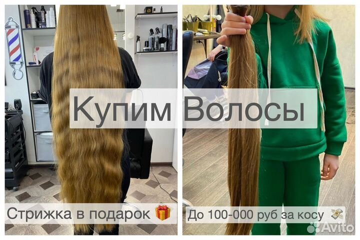 Скупка волос Северск Продать волосы