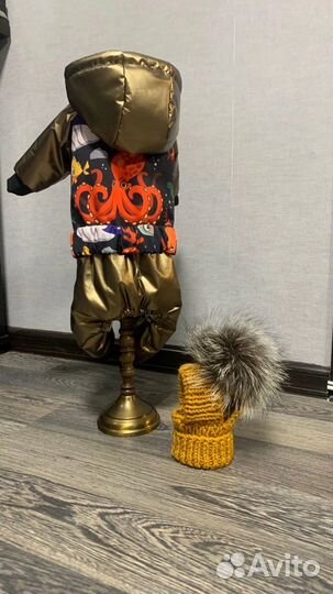 Одежда для собак