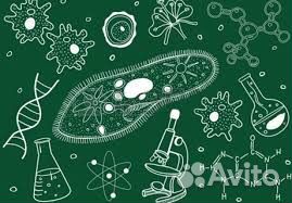 Репетир по биолгии