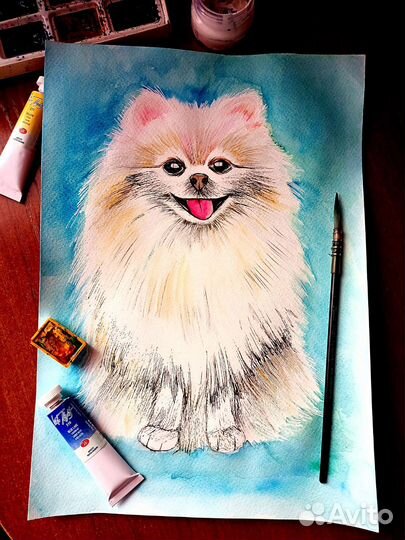 Щенки шпица