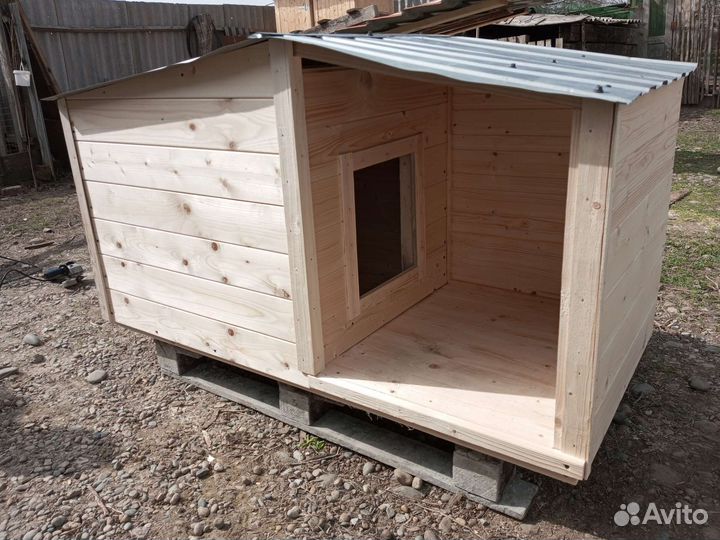 Собачья будка