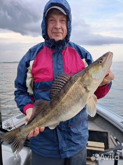 Рыбалка с гидом для начинающих