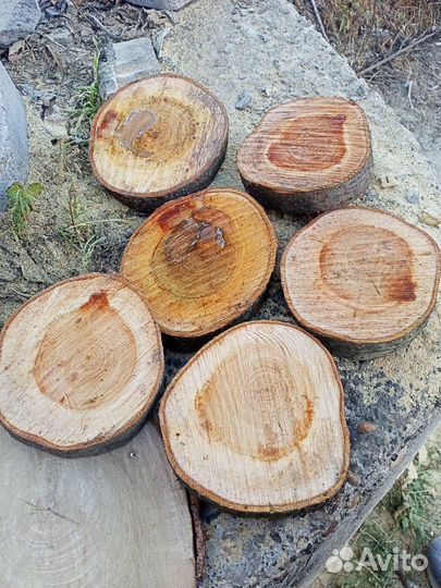 Торцевые спилы деревьев, дрова