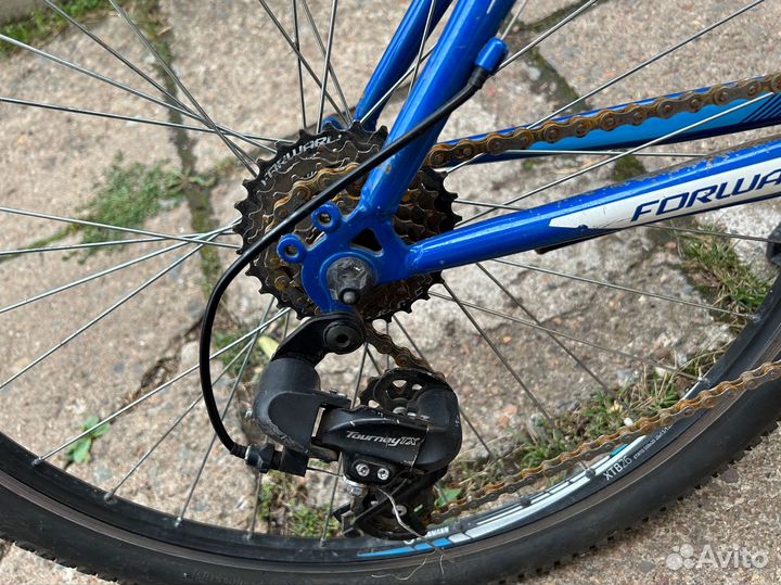 Велосипед горный forward 1.0 sporting