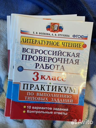 Всероссийская проверочная работа, 2 и 3 класс