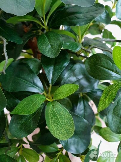 Шефлера искусственное дерево