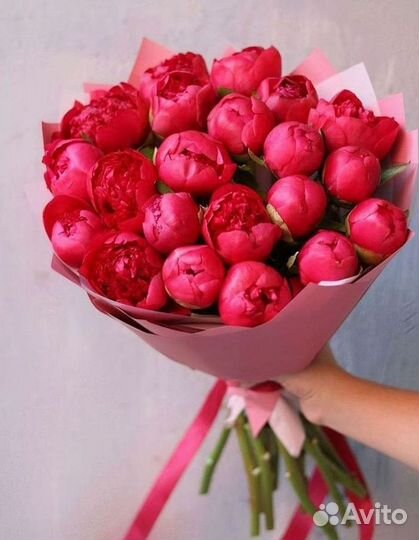 Пионы Букеты Цветы Доставка