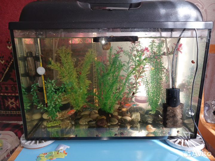 Аквариум