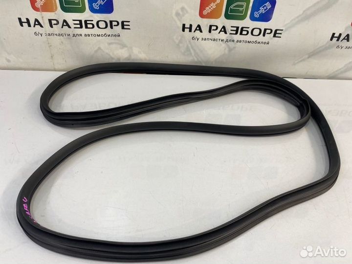 Уплотнительная резинка дверного проема задняя