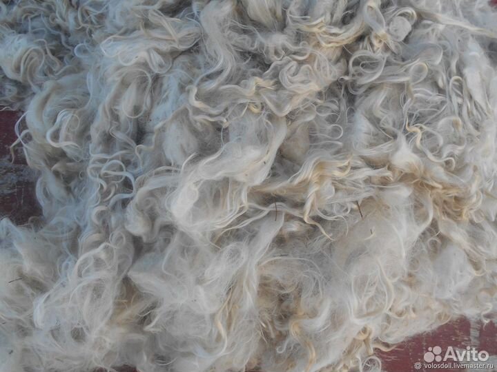 Шерсть овечья