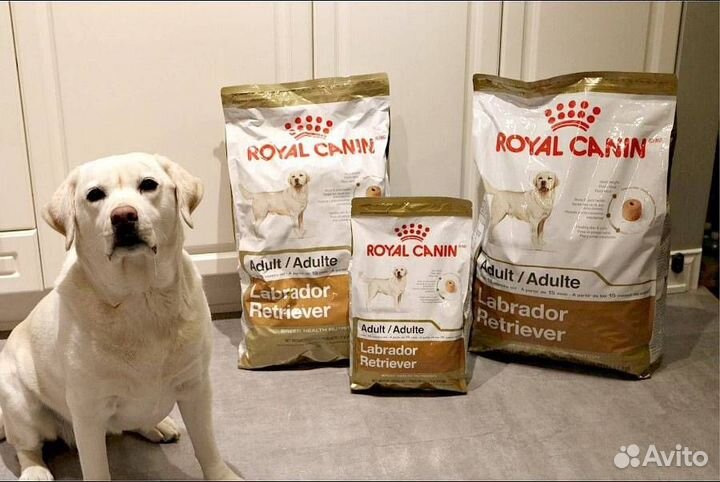 Корм для собак Royal Canin (Роял Канин)