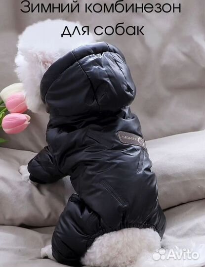 Зимний комбинезон L для собак мелких пород