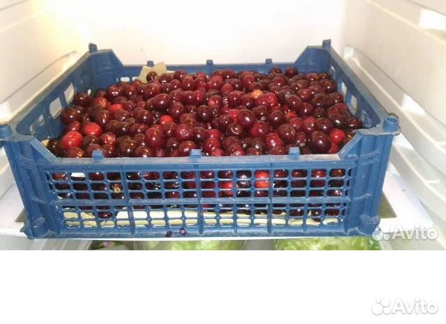 Ящики пластиковые для овощей/рассады