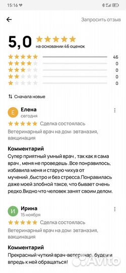 Ветеринарный врач на дом: эвтаназия, вакцинация