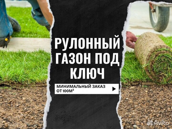 Укладка и продажа рулонного газона