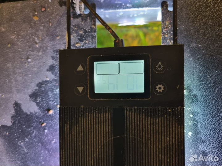 Аквариум с рыбками