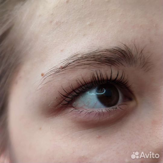 Мастер бровист