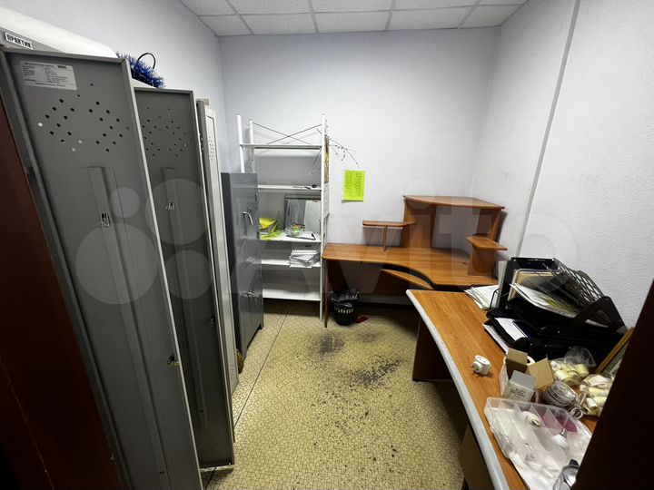 Торговая площадь, 245.1 м²