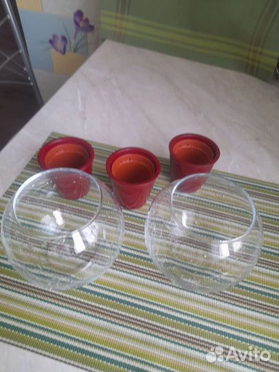 Набор горшков для кактусов