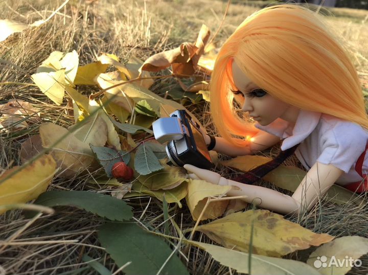 Шарнирная кукла