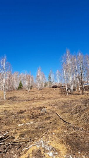 Участок 5,49 га (ИЖС)