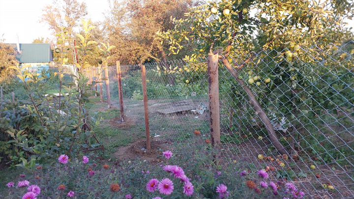 Участок 5,4 сот. (СНТ, ДНП)