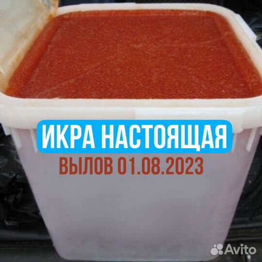 Красная икра горбуши