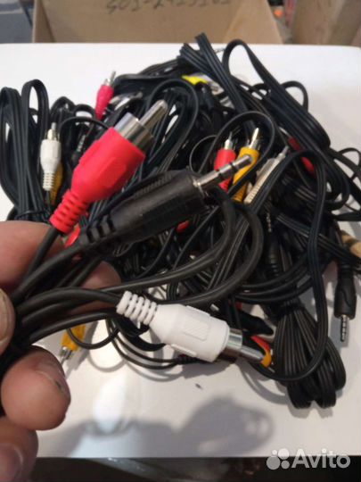 Тюльпаны провода