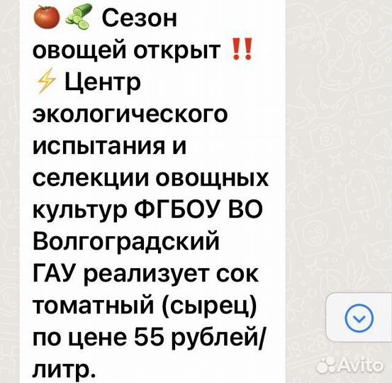 Томат (пульпа), томатный сок