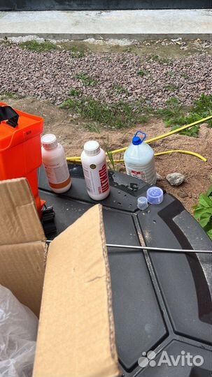 Потравить крыс, мышей, грызунов/Гарантия