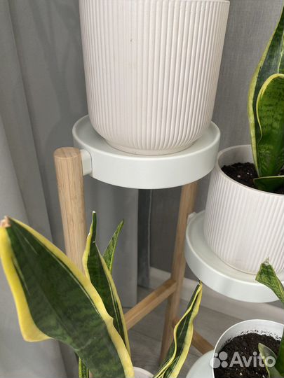 Подставка для растений с 4 полками сатсумас