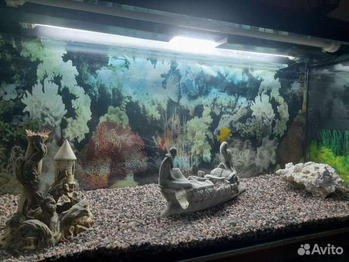 Аквариум