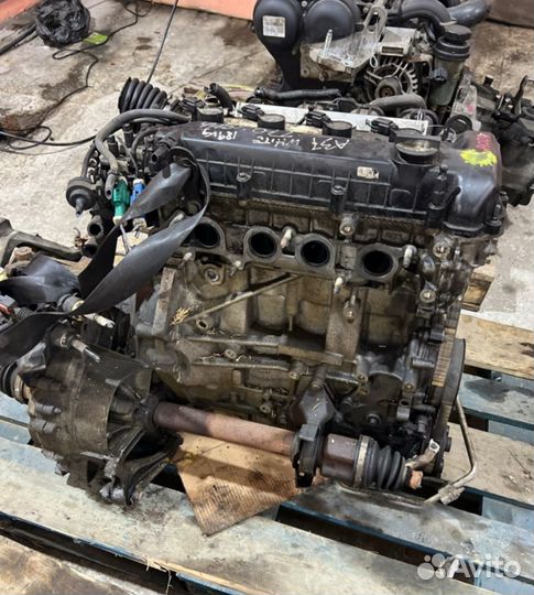 Двигатель Ford Focus 2 aoda