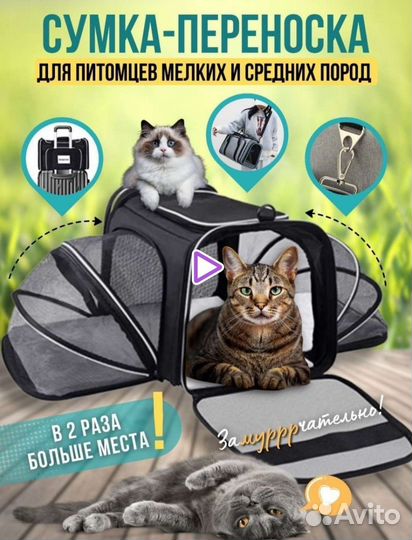 Переноска для животных, кошек, собак