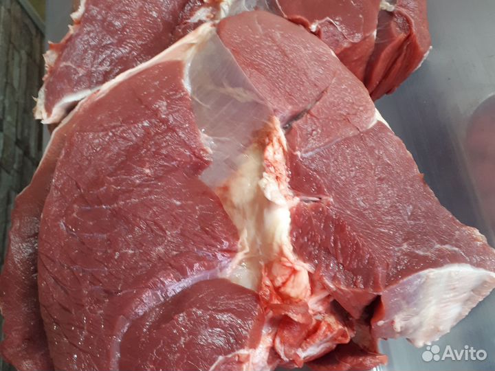 Конина,молодняк