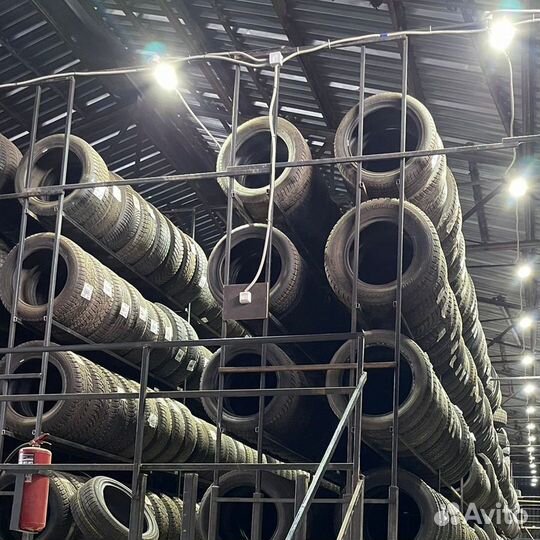 Tigar Winter 195/55 R15 85H