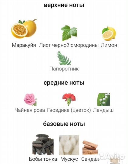 Cassiopea Tiziana Terenzi ОАЭ 60 мл