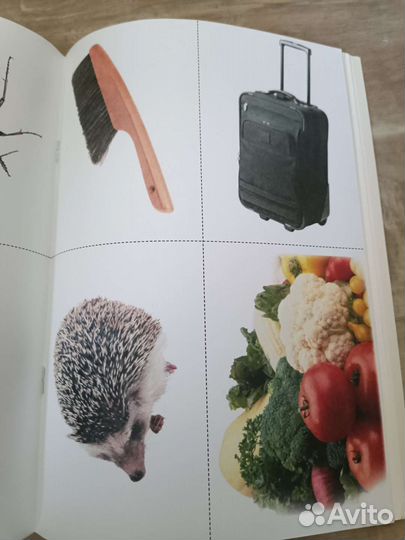 Логопедические упражнения