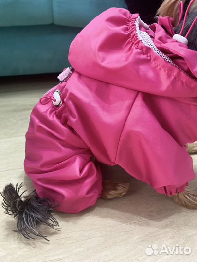 Ветровочный комбинезондля собаки,шью на заказ