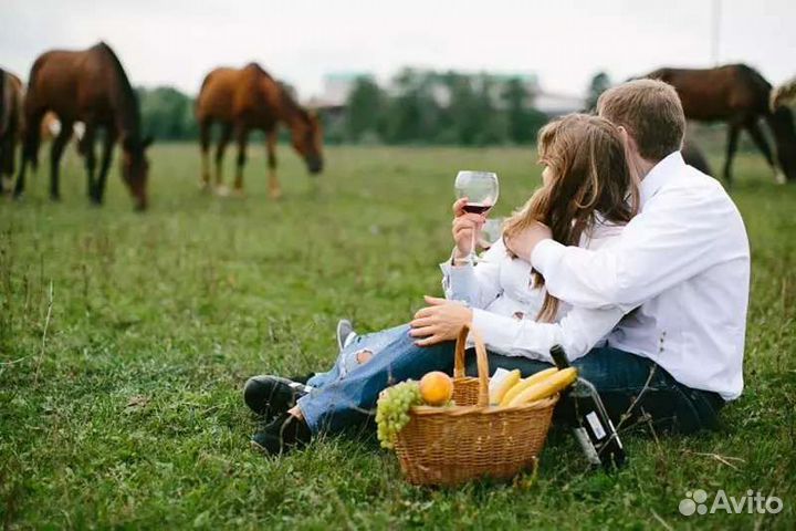 Конный прокат и фотосессии с лошадьми