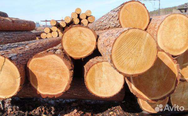 Лес кругляк