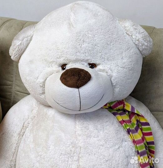 Большой кот и большой медведь