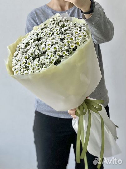 Букет из ромашек Сантини