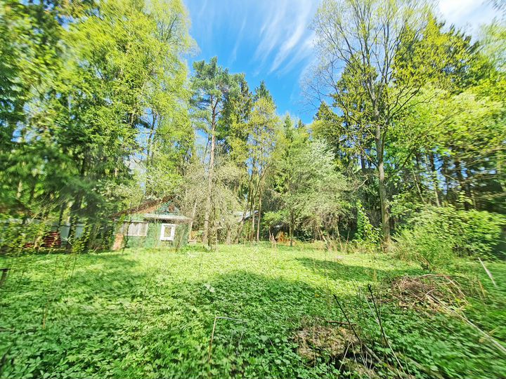 Участок 31,1 сот. (ИЖС)