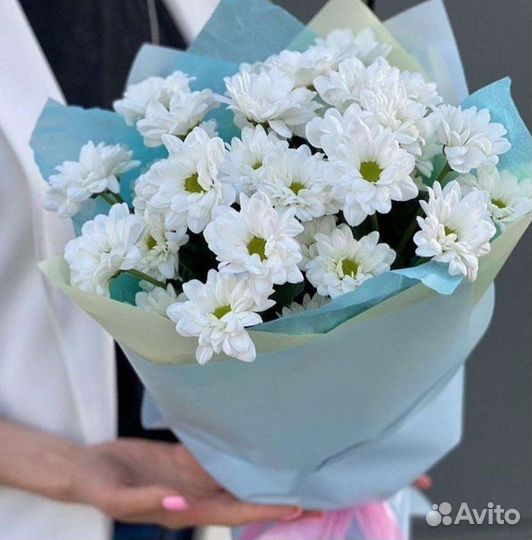 Хризантема Букет хризантем Доставка