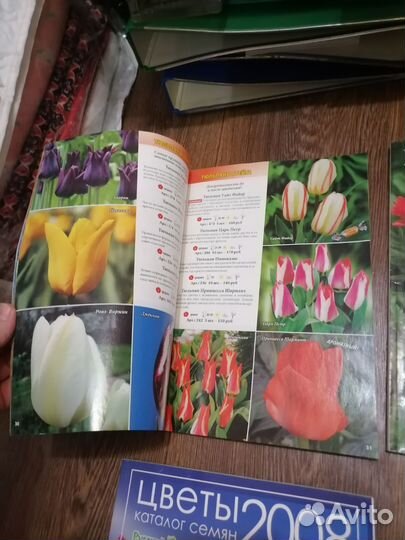 Каталоги цветов и овощей