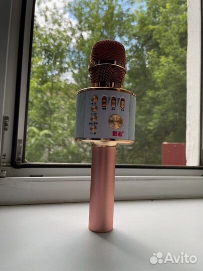 Микрофон с колонкой